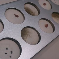 六雁 - 白いマカロン３種（ゴマ、松の実、ほうじ茶）