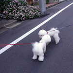 恵比寿 箸庵 - 帰りの坂道で・・♡