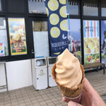 Umi No Marushe Tateyama - びわソフトクリーム　380円