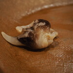 うを徳 - 愛知のトリガイ