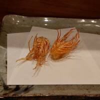 天冨良 よこ田 - 