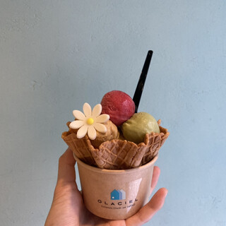 グラッシェル_0