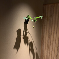 木山 - 
