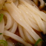 Inada - 麺UP（天ぷらぶっかけうどん）