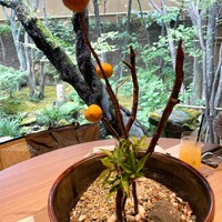 イノベーティブ フレンチ ワタハン - 