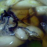 紋乃丞 - 牡蠣吸い