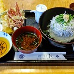 秋本 - 釜揚げしらす丼、鎌倉やさいの天ぷら(ハーフ)