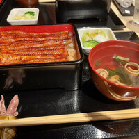 うなぎ 目白ぞろ芽 - 