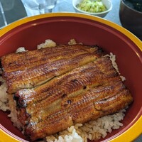 鰻 若松 - 