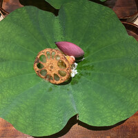 御料理 無窮 - 