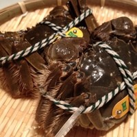 神田 雲林 - 