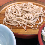 Tendon Tenya - 