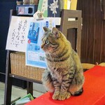 額堂 - 看板にゃんこ？