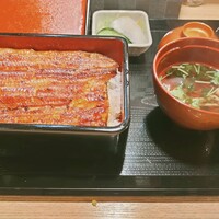 うなぎ 目白ぞろ芽 - 