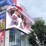 トレイス - 新宿駅東口の巨大猫