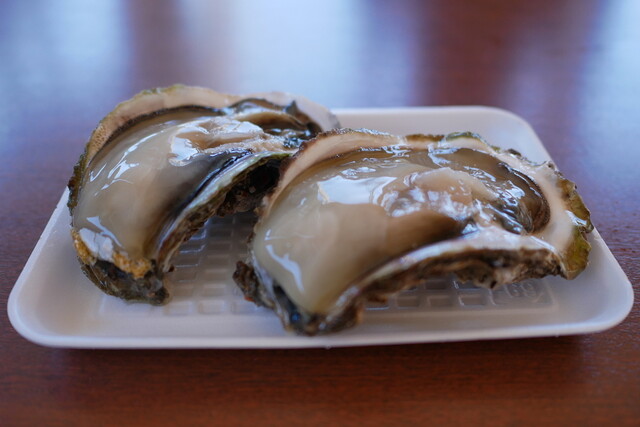 魚売り処 新鮮家 勝木 魚介料理 海鮮料理 食べログ 魚売り処 新鮮家 勝木 魚介料理 海鮮料理 食べログ