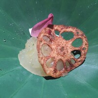 御料理 無窮 - 