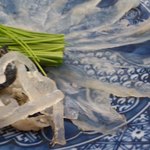 寿司割烹 魚紋 - 河豚。あっぷ。