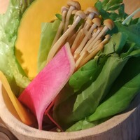 しゃぶしゃぶ KINTAN 代官山本店 - お代わり野菜