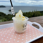 Awajishima Onion Kitchen Car 251 - 