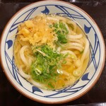 Marugame Seimen - かけうどん