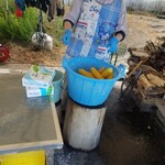 俺ん家のとうきび - 