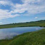 俺ん家のとうきび - 