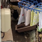 中華そば志のぶ支店 - 看板ねこちゃん