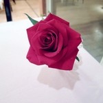 ポン・ヌフ - テーブルの生花