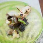 ポルターヴォラ - 