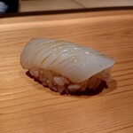 鮨 さかい - アオリイカ