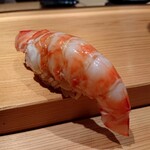 鮨 さかい - 車海老