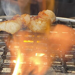 焼肉ホルモン 風土. - マルホル