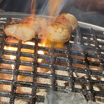 焼肉ホルモン 風土. - マルホル