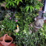 コサイ - 外の雰囲気も良いです