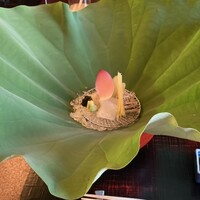 日本料理 木の花 - 