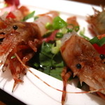 リストランテ ネグラマーロ - 北海道産イバラ海老のカルパッチョ