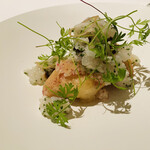 カンテサンス - 