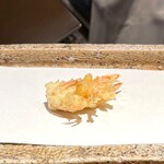 日本橋 蕎ノ字 - 車えび 頭 1