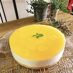 CAFE処 ヒパヒパ - レアチーズケーキ