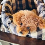 CAFE処 ヒパヒパ - 上目遣いのプロ