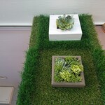 GOHAN-YA あたしんち - 内観