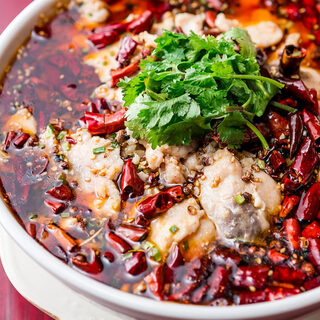 【本場の味】中国で修業した絶品料理をご賞味ください