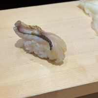 すし処 やま幸 - かます炙り