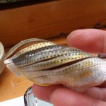 寿司割烹 魚紋 - 小鰭。リフト(^-^)/