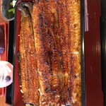 Unagi Kinsui - 