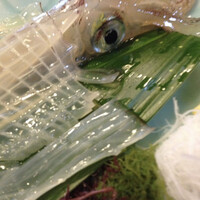 河太郎 中洲本店 - 