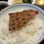 特選銘柄和牛 焼肉牛亭 - 