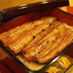 Unagi Takizawa - 