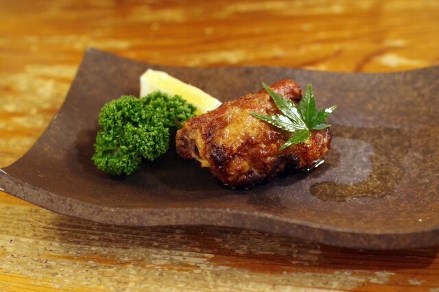 Indian Omoi no Ki photo 5